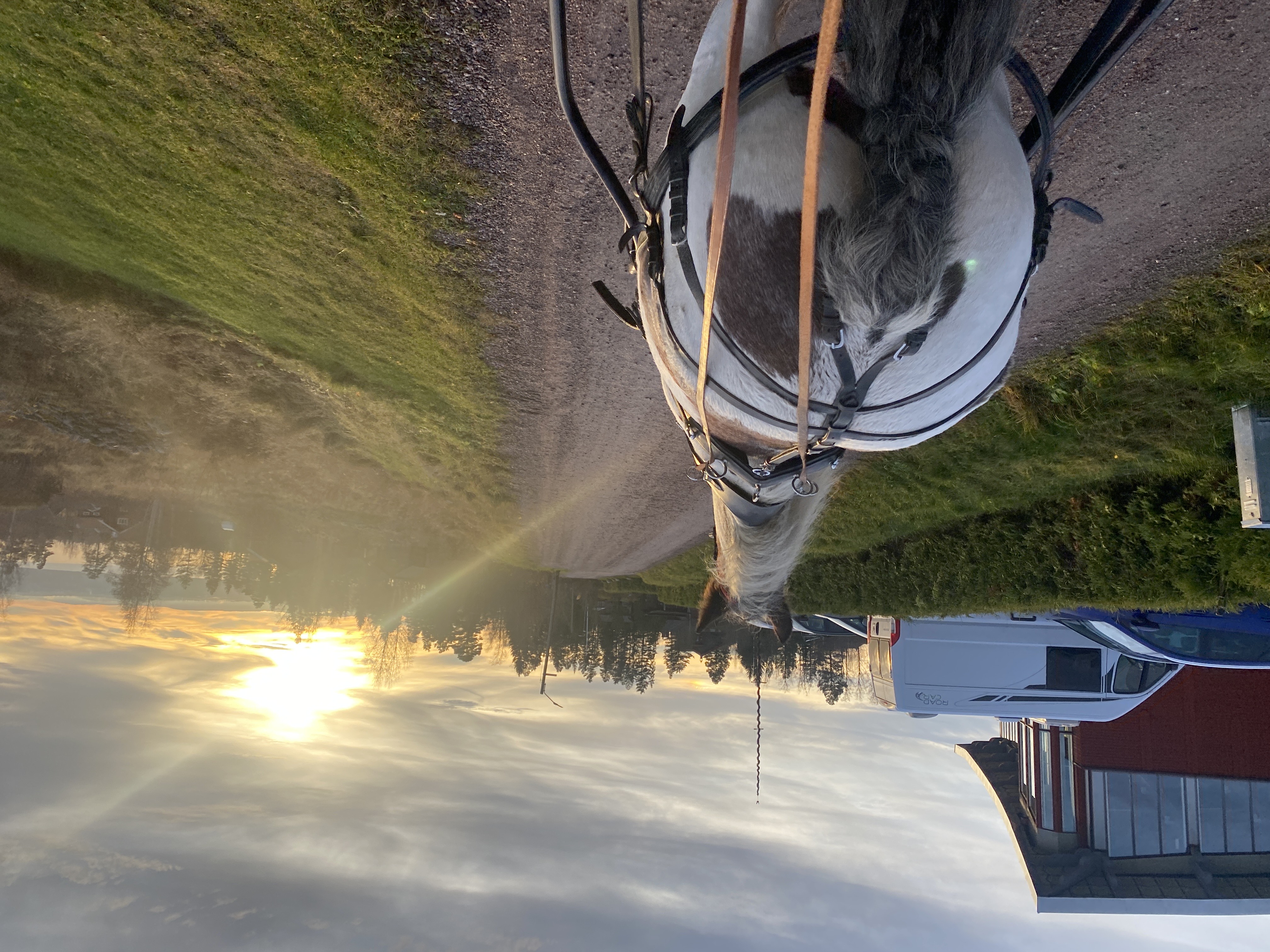 Little Big Lilibet bild 3